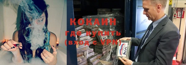 прущие грибы Навашино