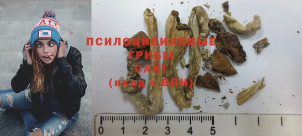 шишки Наволоки