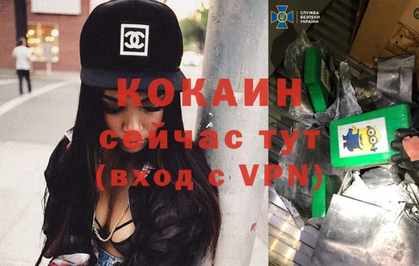 прущие грибы Навашино