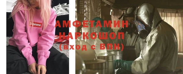 индика Михайлов