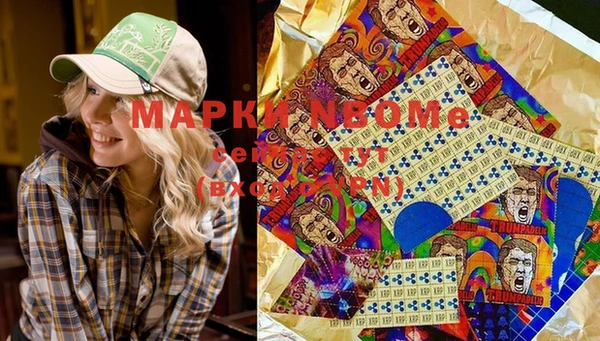 стаф Михайловск