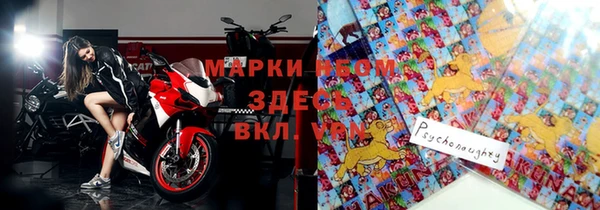 индика Михайлов