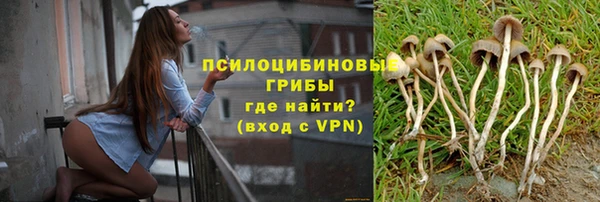 шишки Наволоки