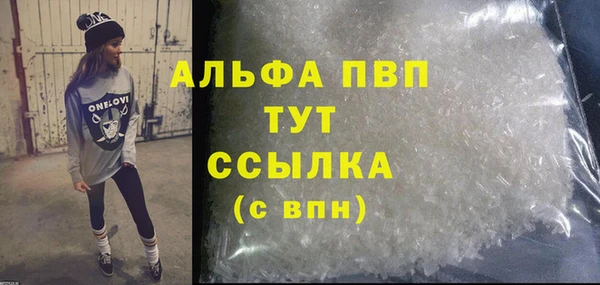 индика Михайлов
