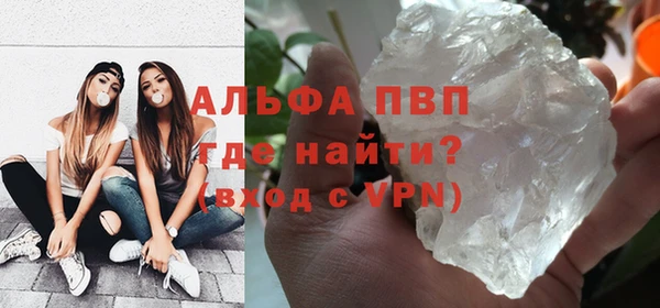 индика Михайлов