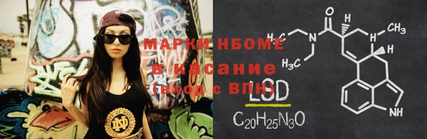 стаф Михайловск
