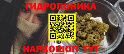 бошки Будённовск